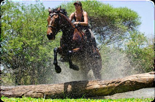 Equestrian activities include: Developing and improving riding skills Daily lessons that focus on riding and jumping General care of horses Stable management Basic veterinary care of horses Equipment
