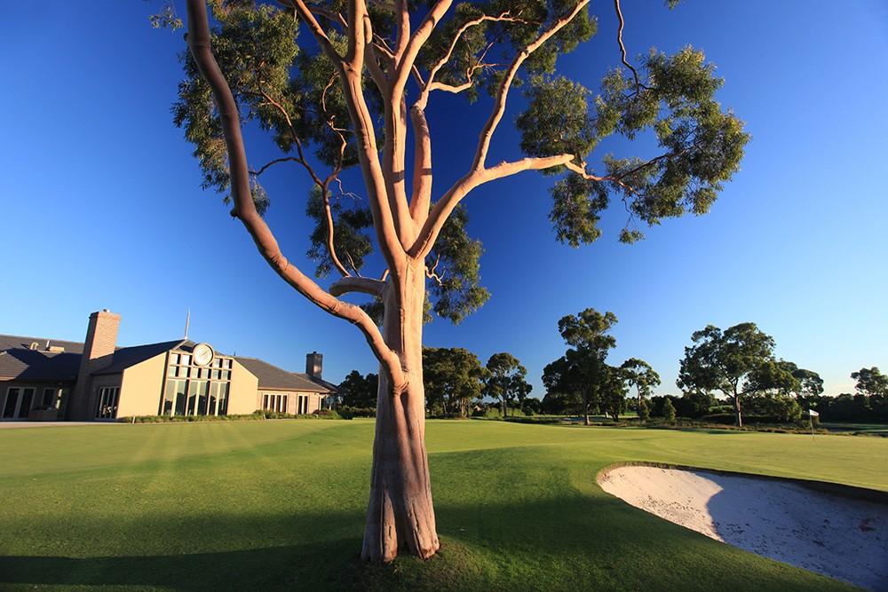 Golf options available are: YARRA YARRA GC WED 11 DEC (12:30PM) METROPOLITAN GC THU 12 DEC (7:00AM) COST: AUD$380 PP COST: AUD$395 (AUST/NZ), AUD$495 (OTHER) Top 50 golf course and host