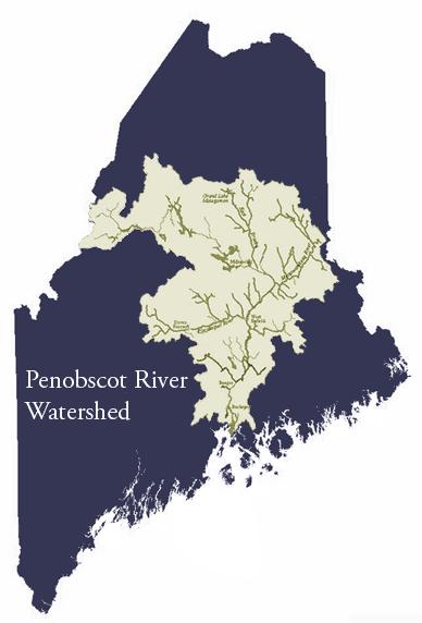 - Largest Watershed completely within the Sate of Maine - Home of the Penobscot Indian Nation - Long standing Atlantic Salmon Restoration efforts - Historically little to no restoration of any other