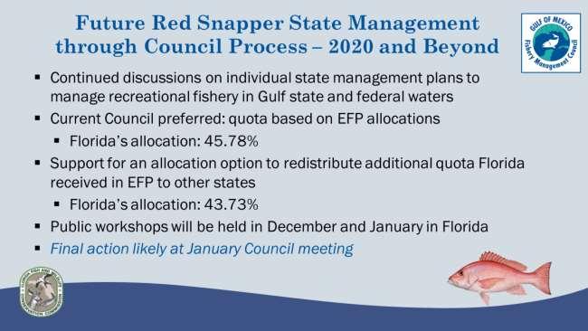 The Council continued discussions on establishing long-term state management plans for the recreational harvest of red snapper starting in 2020.