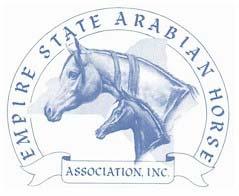 EMPIRE STATE ARABIAN HORSE