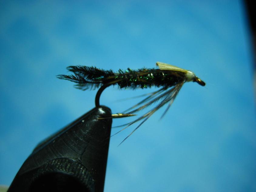 Newsletter of the Truckee River Flyfishers Page 5 HD ZUG BUG This pattern was created by Cliff Zug to be a Caddis fly imitation.