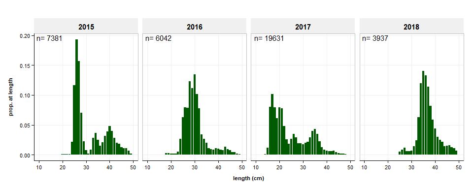 4.3.2 Observations of seabirds The observations of seabirds in the net and around the vessel, initiated in 2014 at the request of SPRFMO (SPRFMO 2014), were continued in 2015-2018.