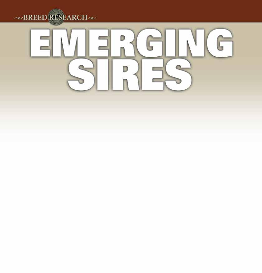 A new era of sires who made an impact in 2014.