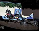 Since then, the typey and talented young stallion won the 2012 Two-Year-Old Futurity Park Harness Reserve World Championship with Conrady, also taking two titles in 2013 with Lyle Wick up;