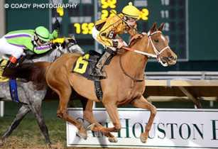 6 wins, 6 seconds, 6 thirds, 4 fourths. 1st 2015 HH Sheikha Fatima Bint Mubarak Ladies IFAHR Cup Stakes, 1st Lone Star Arabian Fillies Futurity, Texas Yellow Rose Stakes- Gr.
