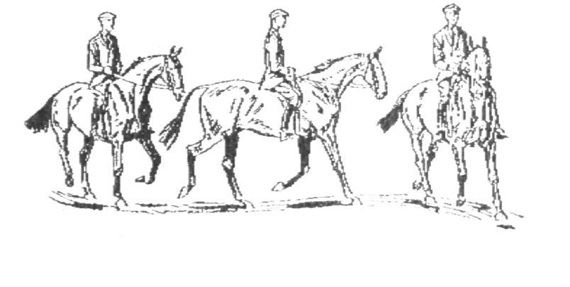 In order to appreciate the importance of the shoulder-in as a suppling exercise, it should be realised that it is the easiest way in which to make a horse straight, because it makes him bend his