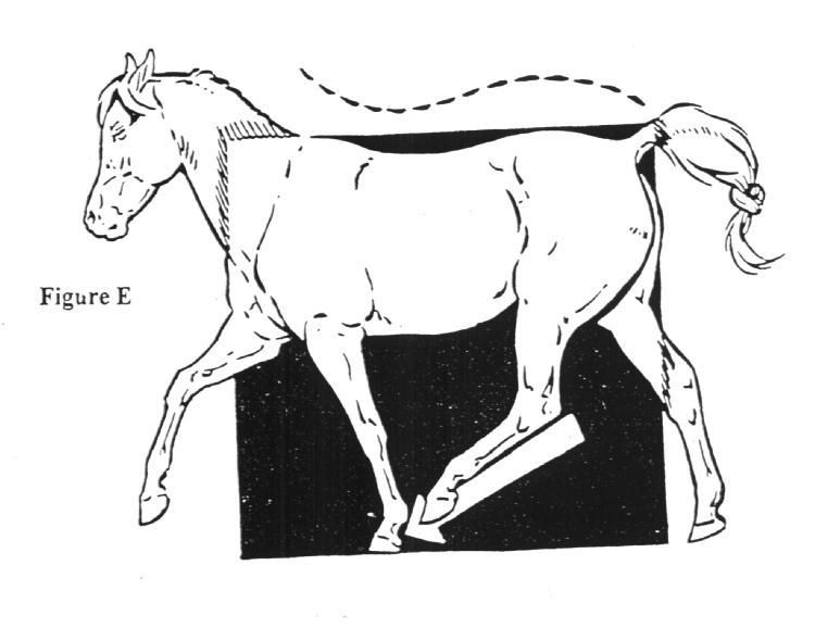 Figure E shows our horse on the left from Figure D when he tries to move on the square.