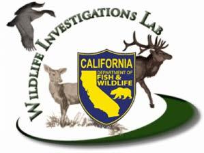 Background Department of Fish and Wildlife is responsible for protecting fish and wildlife in California.