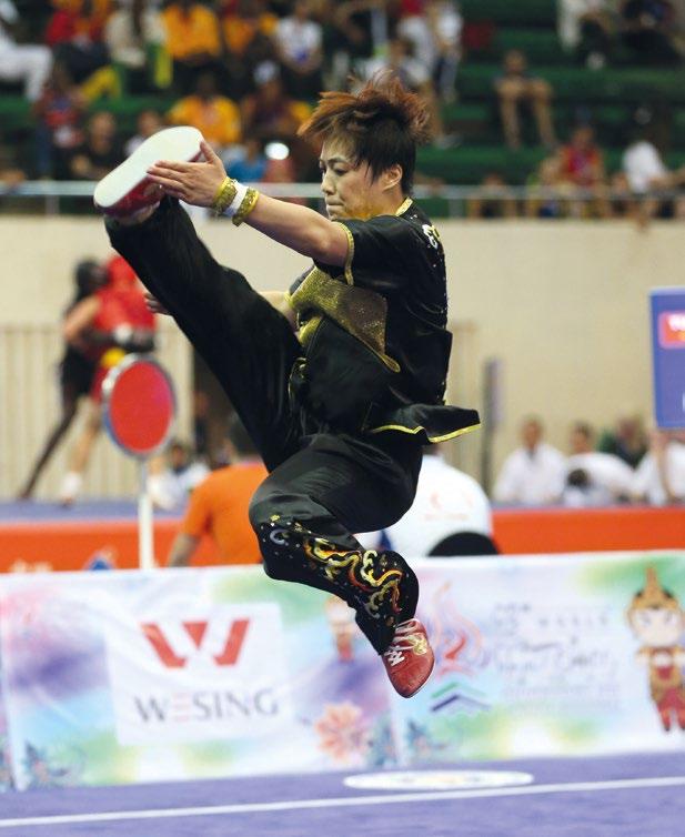 GENERAL INFORMATION The 14 th World Wushu Championships (14 th WWC) is the official world championship event which hosted by the International Wushu Federation.