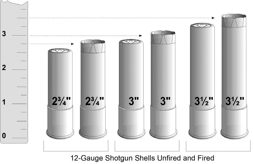 3.8.3 Shotgun Shell Types a. Various types of shells exist. They vary in length and gauge, and in size and type of pellet (shot). See Chart 2 