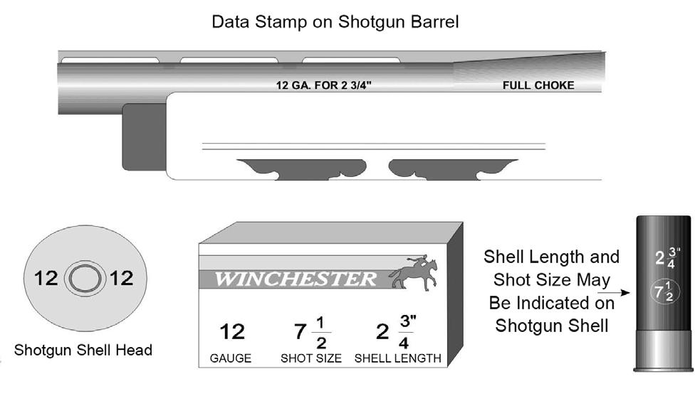 b. The following information is stamped on the barrel or action (see Figure 27) of most modern shotguns: Gauge Maximum shell length Type of choke c.