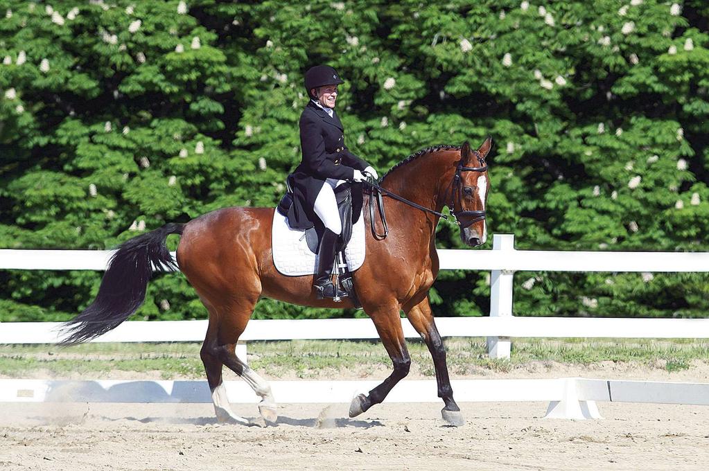 most adult amateurs want a horse that is easy to handle, goes on the bit, and is comfortable to sit, says dressage trainer and USeF S judge Jennifer roth, of Carmel, CA.