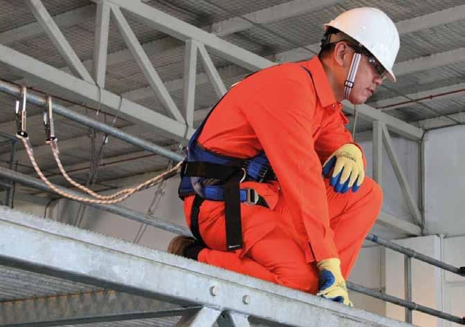 Fall Prevention and Fall Protection Systems 1 1.