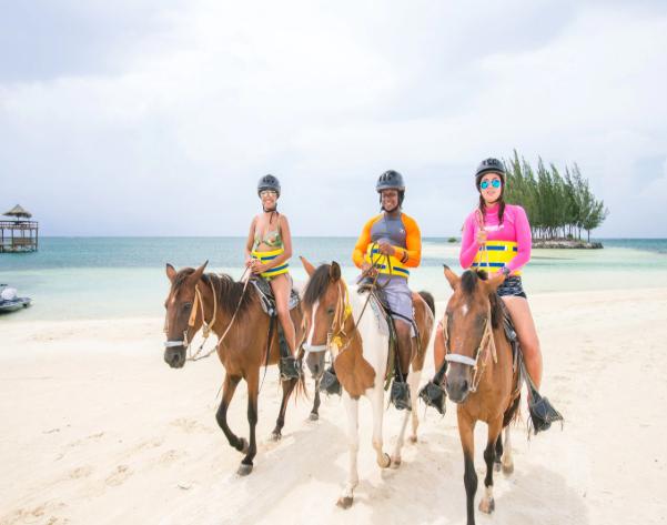 Beach Horseback Ride & Swim - $94.99 per person - Clothing Optional https://www.carnival.