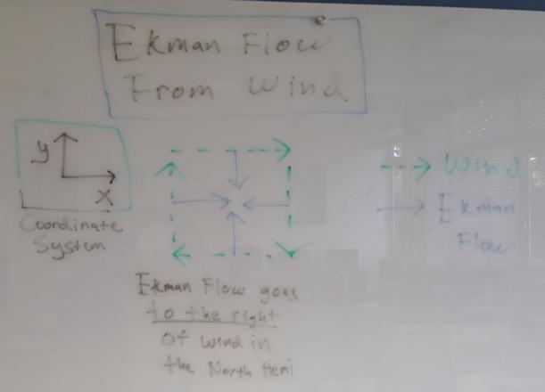2) Deduce/draw/describe the Ekman currents - The wind causes a surface current in the ocean - This is the Ekman current, which is driven by both the