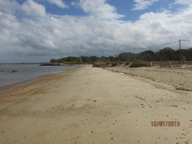 The photo on the right, at low tide shows the new dune fence with a modest dune (taken on October 7, 2013). Figure 2.