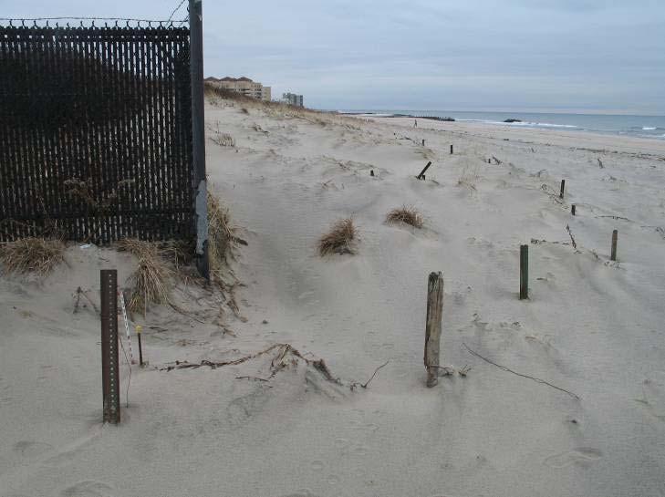 NJBPN 176 Seven President s Park, Long Branch This site is a popular recreational park with a partial ridge of 25-foot elevation dunes and an expansive berm that has undergone