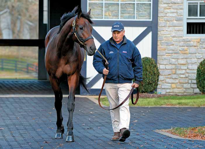 Unproven Sires Right or wrong, the market evaluates unproven stallions by race record, pedigree, and looks ANNE M.