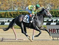 2014 Freshman Sire Recap which cost $112,000, is a pinhook that Machmer Hall plans to offer back as a yearling.