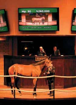2-Year-Old Auction Preview TABLE 2 Decile Yearling to 2-year-old pinhooks by yearling price decile, 2009-14 Horses sold as yearlings and again as 2-year-olds in North America Min. Price No.