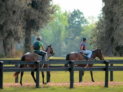 Freshman Sire Preview First-crop juveniles showing promise ahead of sales season Early Impressions BY MICHAEL COMPTON With the 2-year-olds in training sales season commencing this month, attention