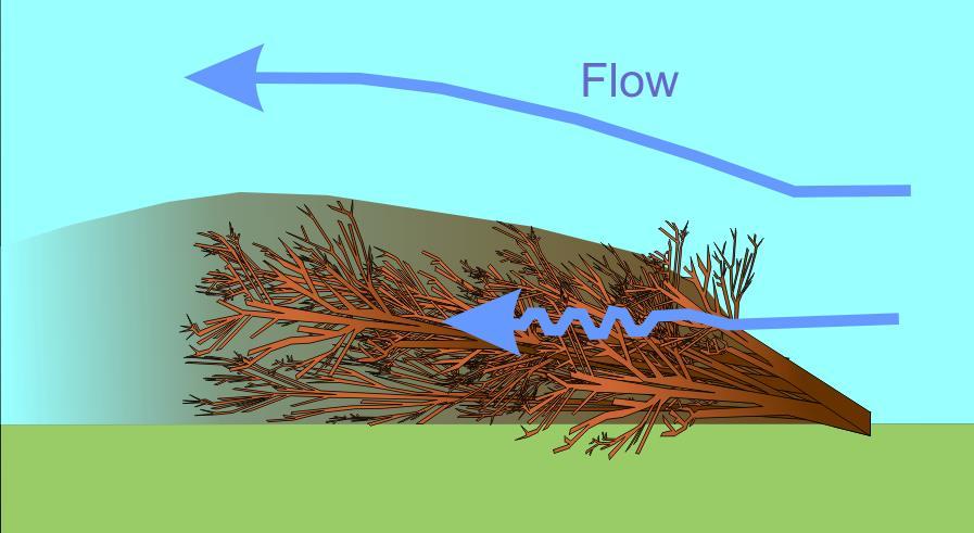possible to focus flows to create a sinuous flume of fast-flowing water that roughly follows the centre of the channel.