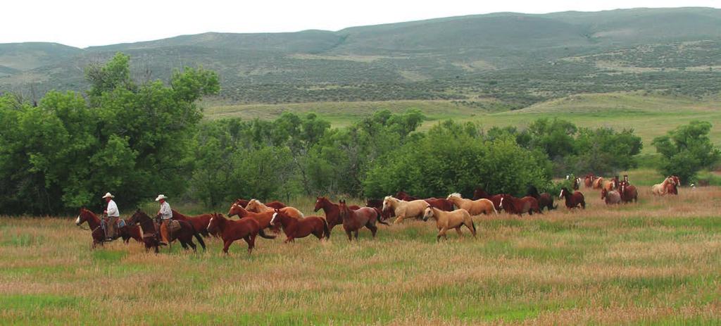 Wagonhound Land & Livestock lies along the Laramie Range of the Rocky Mountains, with its headquarters about 20 miles south of Douglas, Wyoming.