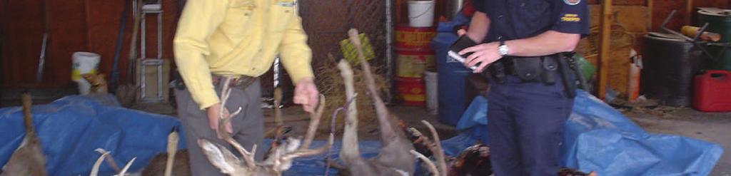 Upon contact with the suspect, he had a 3-pt buck hanging in his barn that was tagged for 11/03 (the last day of general season).