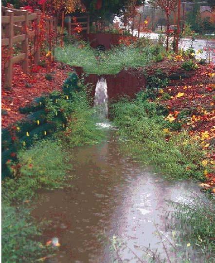 Water Strategies - learning Stormwater strategies can be designed to highlight how