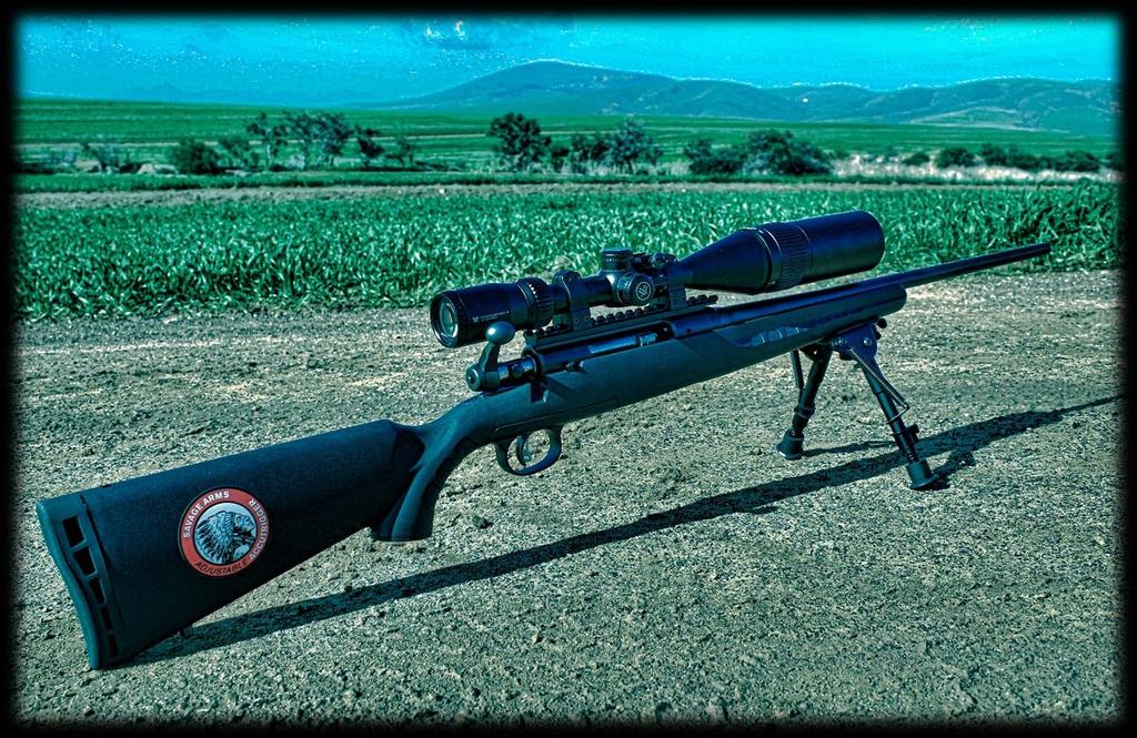 22-250 Savage Axis I decided to buy a new rifle in 2017, it was about 13 years ago when I last bought a rifle, so after all the red tape that goes with it, and tactics to slow down the process by