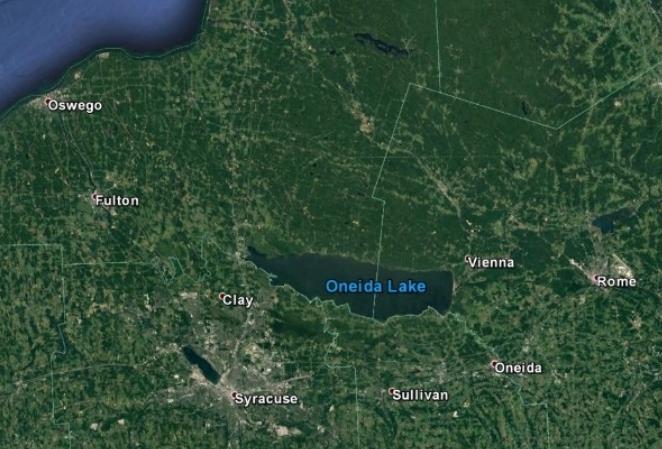 Introduction and Background 1 Oneida Lake is a large freshwater lake located in Oneida, Onondaga and Madison counties, New York (Figures 1 and 2).
