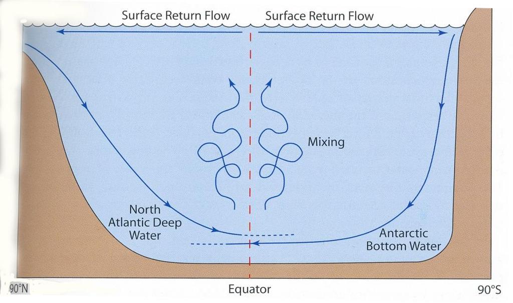 the bottom of the ocean where it ultimately meets more cold water coming from the Antarctic. Some of this is pushed upwards and mixes with the warmer water above.