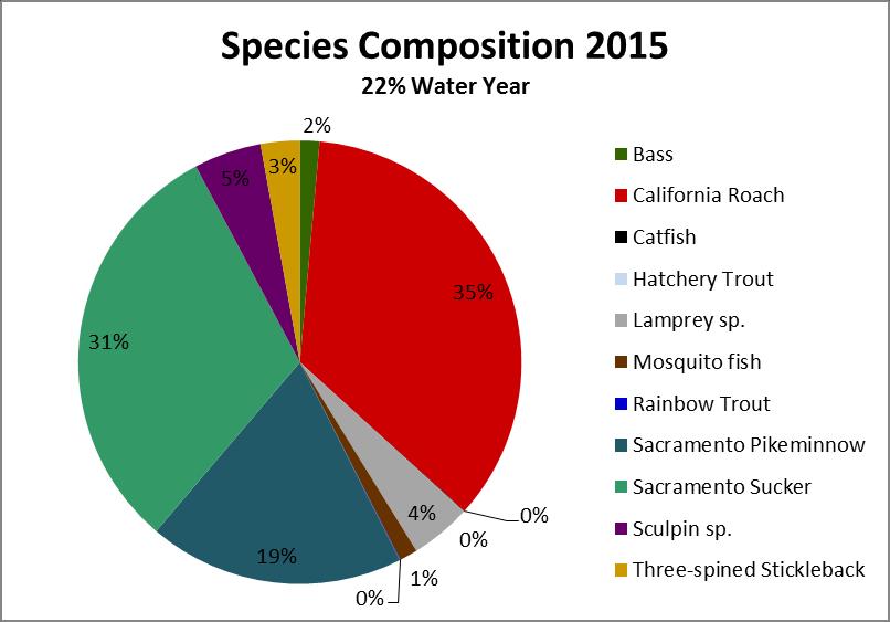 Site 6 Wildwood Multiple-pass depletion sampling yielded 940 fishes representing eight taxa. California roach accounted for 76.6%, Sacramento pikeminnow accounted for 16.