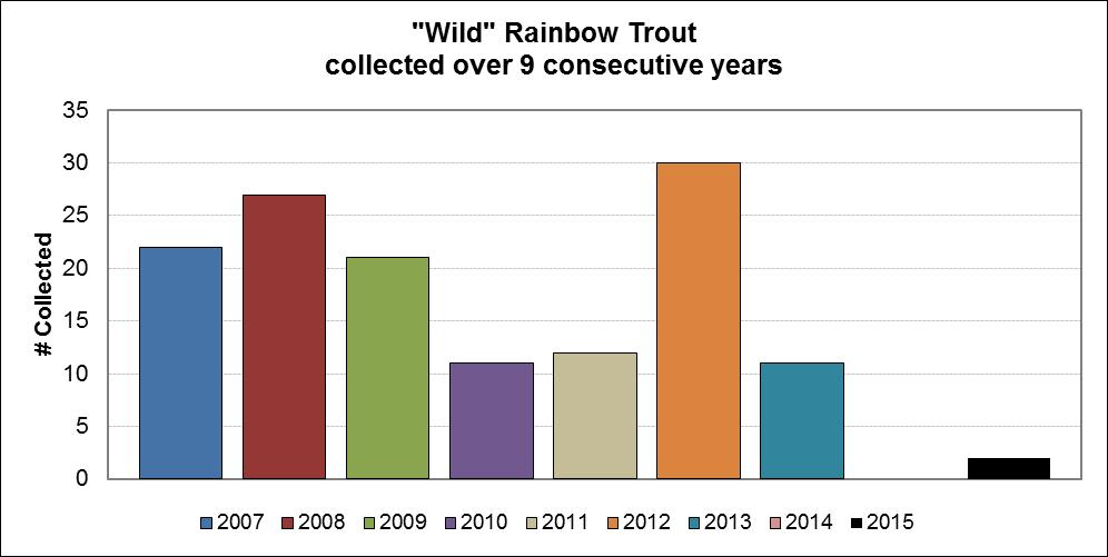 This year s survey produced one hatchery trout and two wild rainbow trout. This translated to 5.87 wild trout per mile.