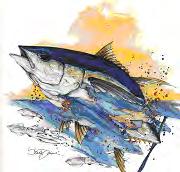 Nantucket Bluefin TunaTournament 2018 Offline Registration Form Entry fee $1100.
