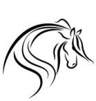HORSE & PONY Activity Sheet 2019 Level 1 Grades 3-4-5 Due June 28, 2019 to the Extension Office What you will do in this project: Enroll in the 4-H program by January 15.
