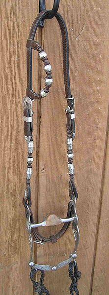 20. Which term describes this headstall? A. Slip ear B. Conventional C. Mecate D. Split ear By Montanabw (Own work) [GFDL (http://www.gnu.org/copyleft/fdl.
