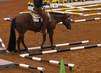 22. Which class is pictured? A. Western Dressage B. Western Riding C.