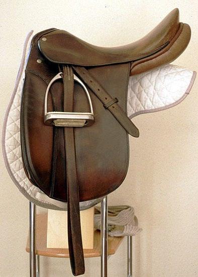 8. Identify this type of saddle. A. Jumping B. Cutback C. Dressage D.
