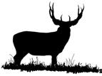 The property is located in an area known to produce large whitetail deer, with mule deer found in the rougher areas of the property.