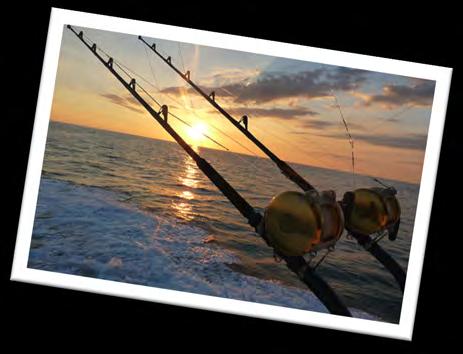 Fishing Trip Big News for all you fishing fiends! We have spots available for the fishing trip booked on the 19th November 2016 with Coromandel Fishing Charters run by Tom and Lorraine.