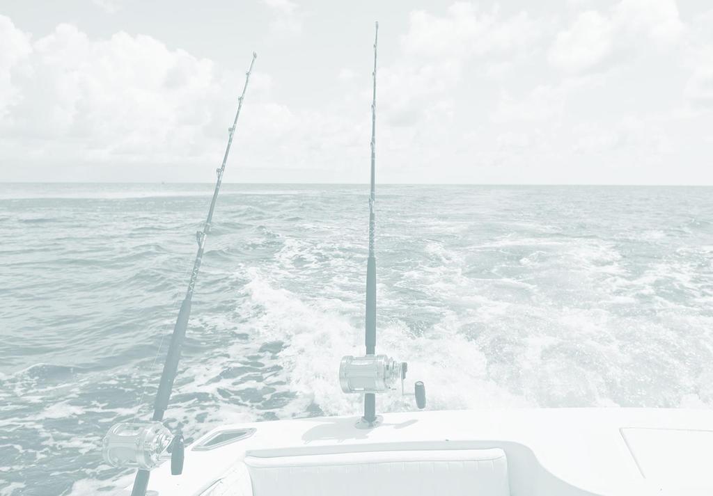 Scope of the POLICY How do you define recreational fisheries? Who and what activities should be considered under the policy? Shore and private/non-for-hire vessel? For-hire vessels?