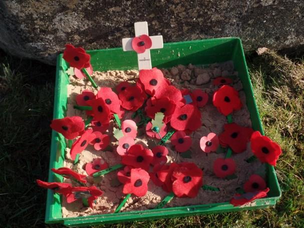 All pupils then placed their poppies beside the memorial including