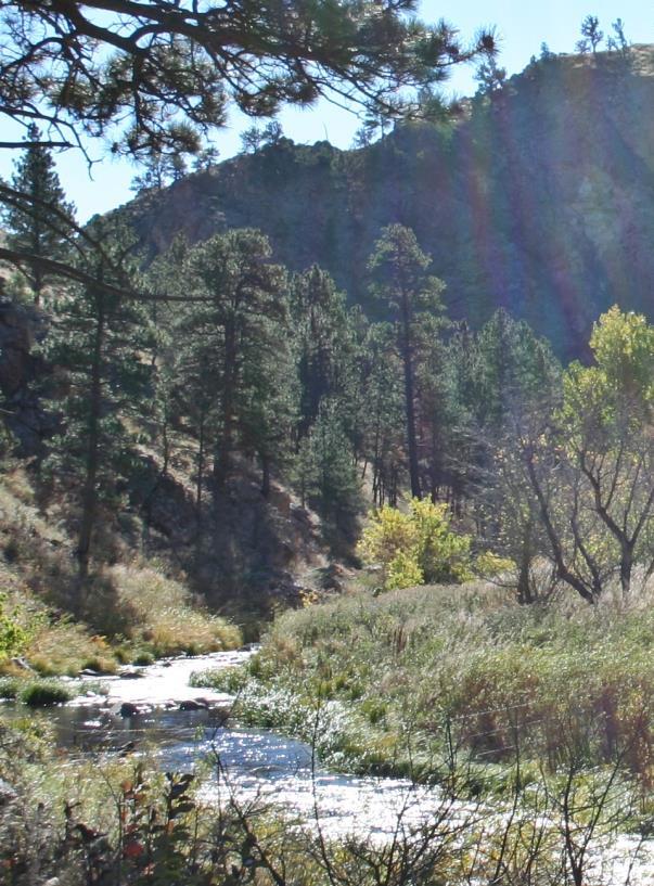 This beautiful mountain property with spectacular scenic views and endless recreational opportunities is offered at an extraordinary price of only $2,900 per acre.