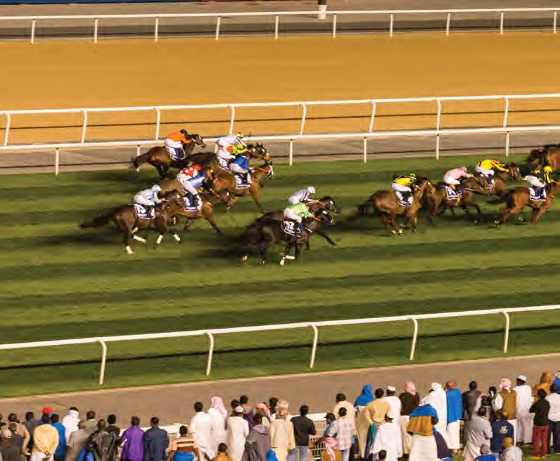 17 ADMISSION PACKAGES Enjoy the races from any of our