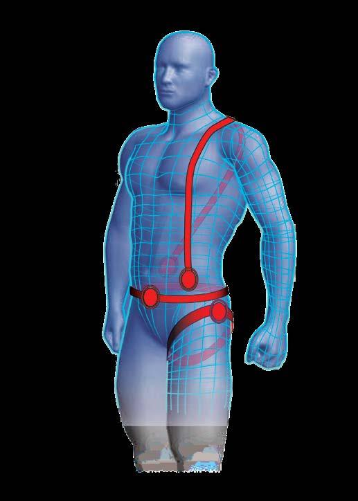 FULLY BODY HARNESS 15 Full Body Harnesses Sizing Guide FallTech understands the
