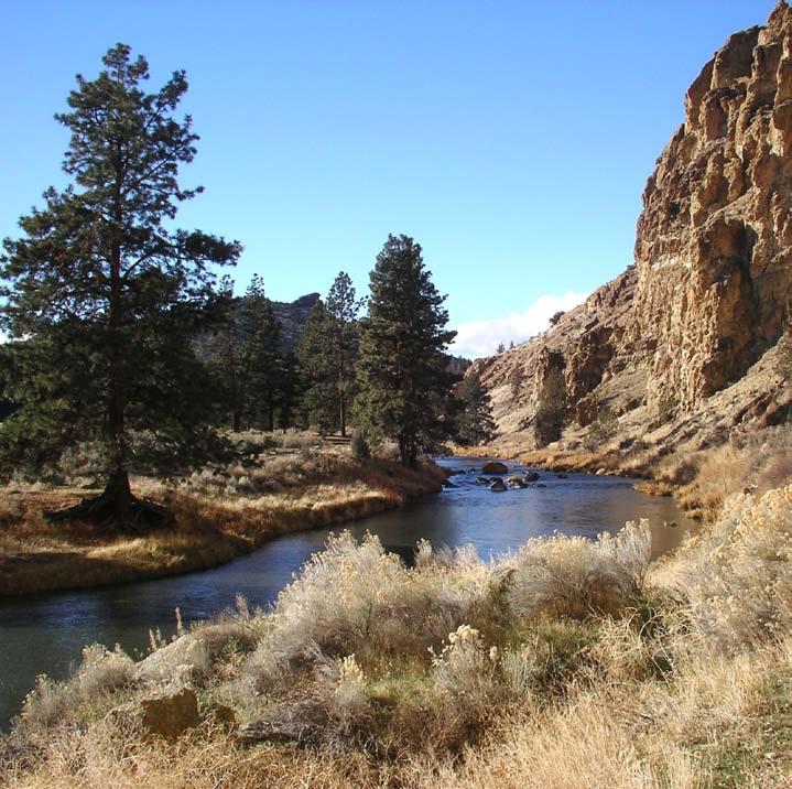 The Crooked River and Ochoco Creek are dam-regulated systems, giving rise to management issues distinct from the undammed McKay Creek.