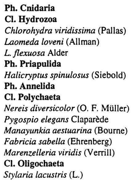 1974, 1982; Lagzdinsh & Saule, 1983; the northern part of the gulf - Järvekülg, 1960; Kotta, 1980, 1995. A list of all macrozoobenthic taxa found in the Gulf of Riga is presented below.