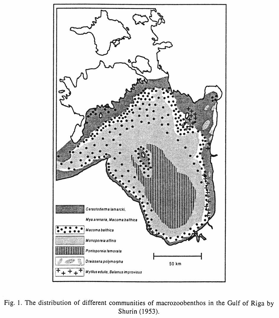 Based on his earlier investigation (Järvekülg, 1961, 1962; Yarvekyulg, 1961, 1962b, 1962c, 1968) Yarvekyulg (1979b) presented a generalized map of the dispersion of total biomass and abundance